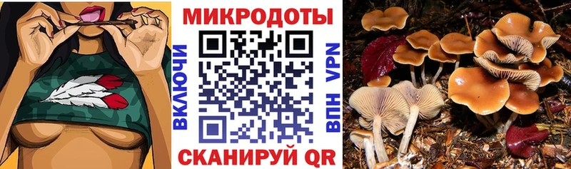 как найти наркотики  Данилов  Галлюциногенные грибы прущие грибы 